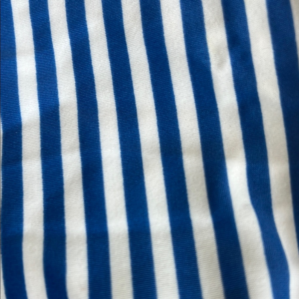 I.Crew Striped Blue and White Swimsuit - Picture 4 of 4
